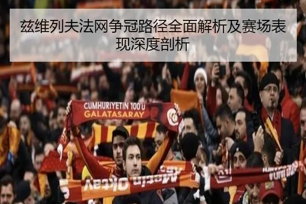 兹维列夫法网争冠路径全面解析及赛场表现深度剖析